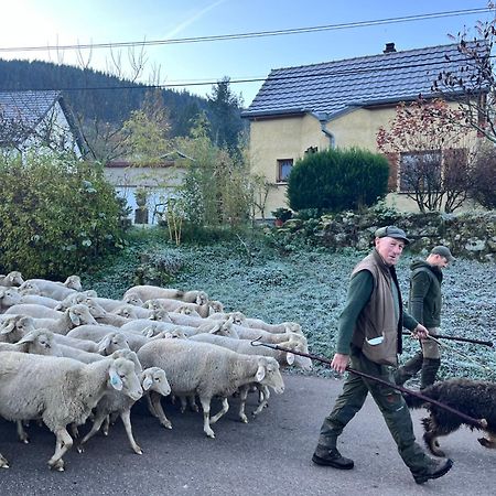 Gite De Montagne -Bellefosse Alsace 外观 照片