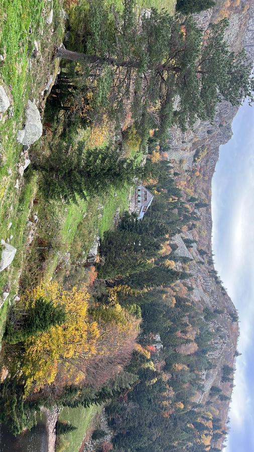 Gite De Montagne -Bellefosse Alsace 外观 照片