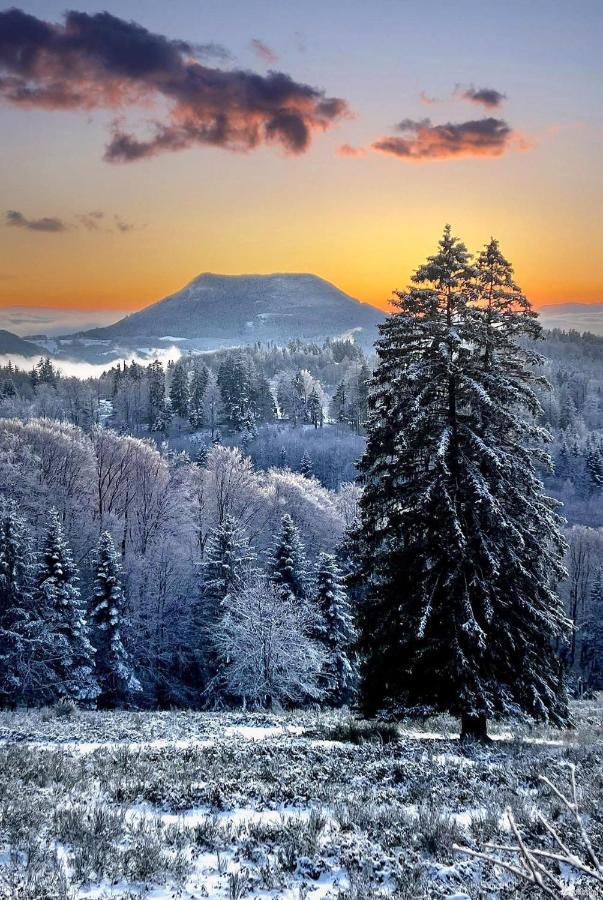 Gite De Montagne -Bellefosse Alsace 外观 照片