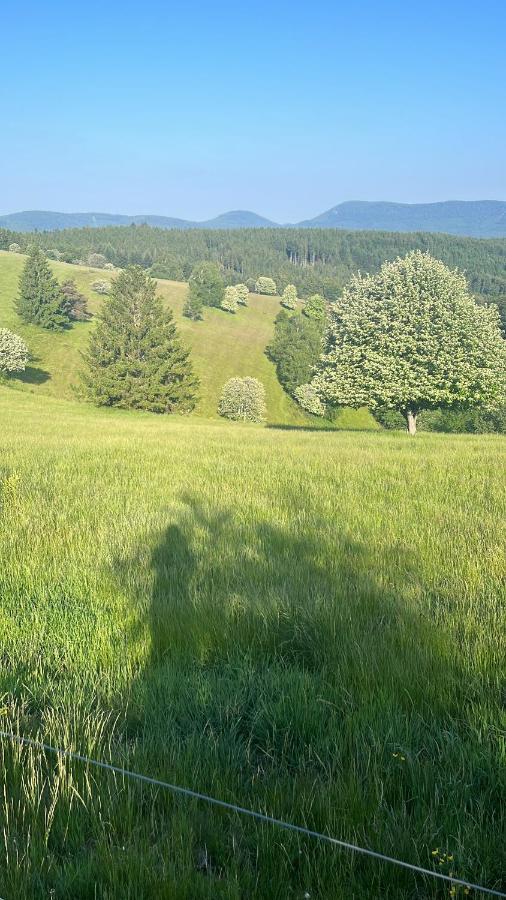 Gite De Montagne -Bellefosse Alsace 外观 照片