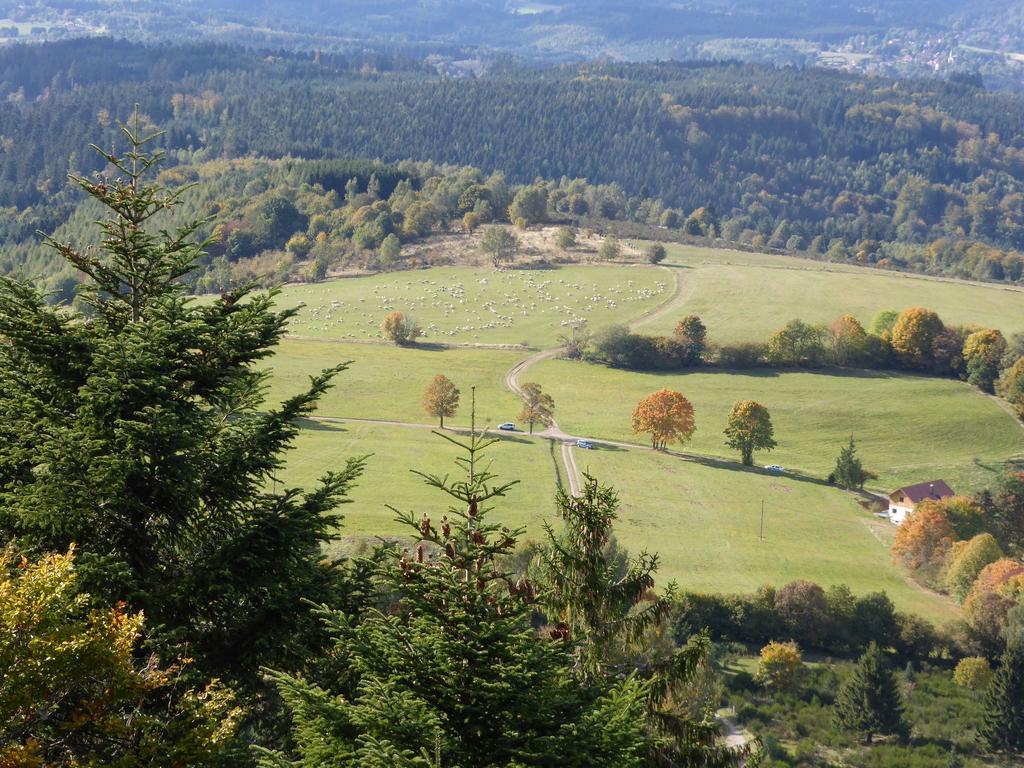 Gite De Montagne -Bellefosse Alsace 外观 照片
