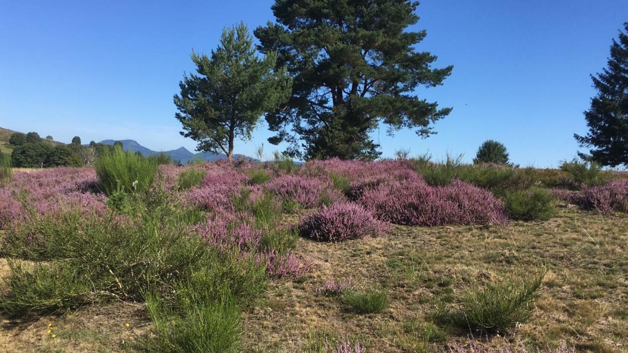 Gite De Montagne -Bellefosse Alsace 外观 照片